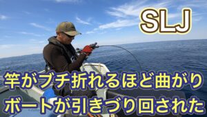 買った記憶のないボーズレスの武将シリーズのジグがどハマり!