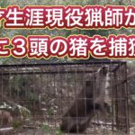 ８１才のベテラン猟師が箱罠で一気に３頭のイノシシを捕獲！
