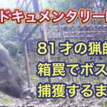 【有料級】メスボスイノシシと隙を見れば餌を食べようとするオスとの争い。
