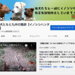 YouTubeチャンネル名変更に伴い大幅にリニューアル致します。