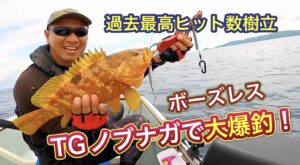 買った記憶のない（酔っ払った勢い）ボーズレスの武将シリーズのジグで大爆釣！