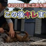 親方がアジトに侵入！群団長としての猟犬カシンの成長とアスカの素質が垣間見える瞬間。
