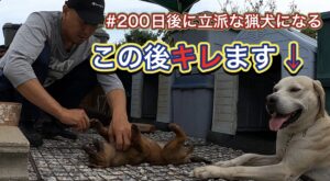 親方がアジトに侵入！群団長としての猟犬カシンの成長とアスカの素質が垣間見える瞬間。