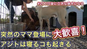 基本的に顔出しNGのママですが、高評価と熱いコメント、チャンネル登録お願いします!