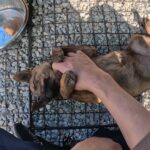 YouTubeチャンネル登録3万人ありがとうございます！