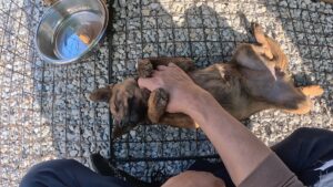 YouTubeチャンネル登録3万人ありがとうございます！