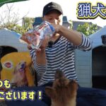 【近況報告】この動画をご覧になれば、アスカを離した理由が分かります。