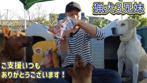 【近況報告】この動画をご覧になれば、アスカを離した理由が分かります。