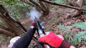 いよいよ猟犬たちによる猟銃でのイノシシの有害鳥獣駆除の季節がやってきました。