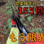 野生鳥獣による農作物被害額に日本が驚いた！