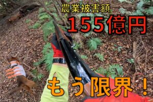 野生鳥獣による農作物被害額に日本が驚いた!