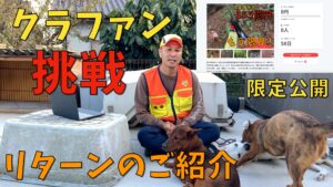 猟犬の未来を支えるために！私たちの犬舎プロジェクトにご協力ください！